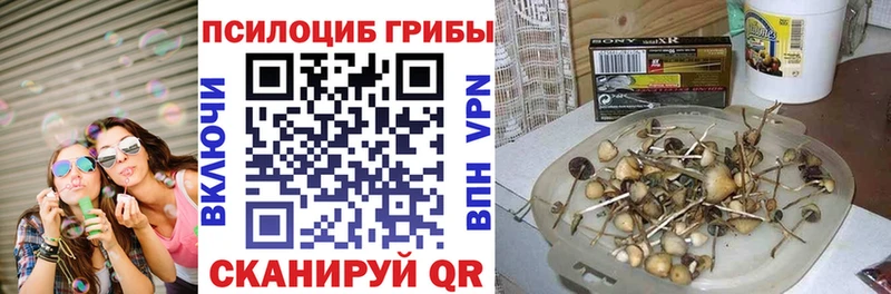 Псилоцибиновые грибы Cubensis  kraken вход  Нижний Ломов 